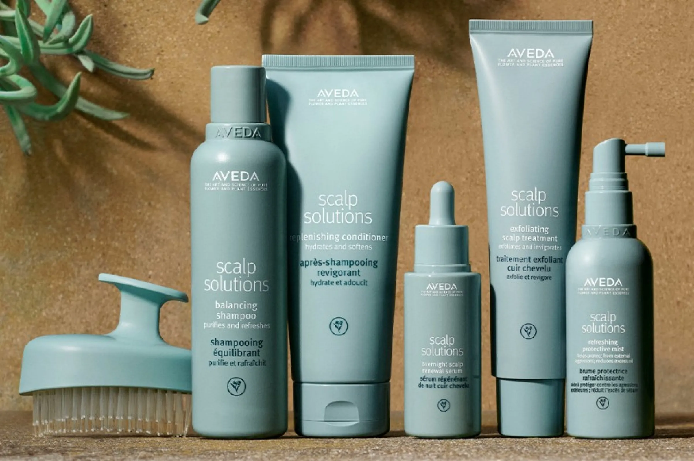 Hårbotten 1