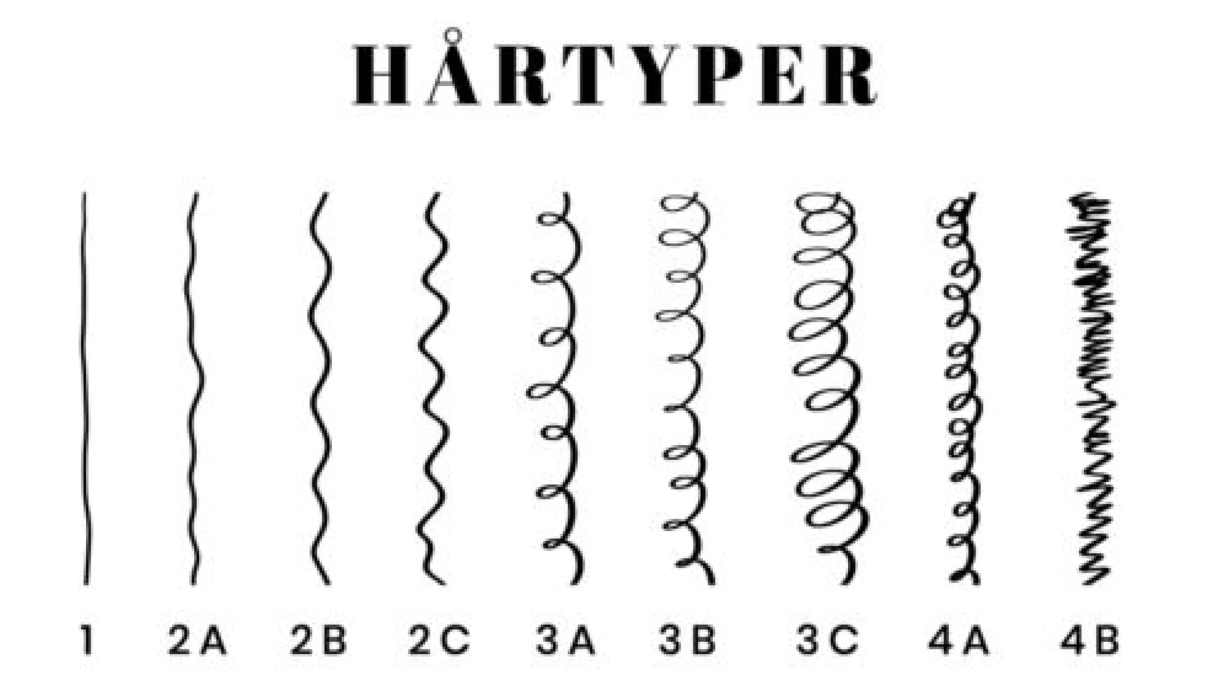 hårtyp 2