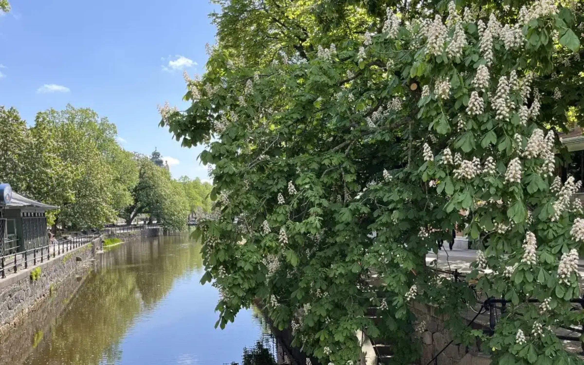 Miljövänlig 1